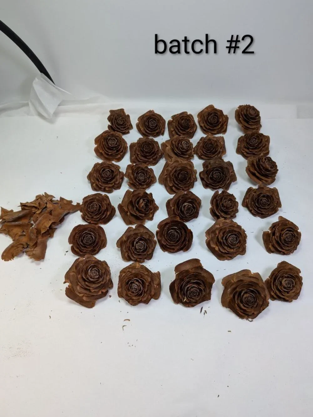30 Real Cedar Rose Cones Natural Wooden Flowers Crafting & Wreath Supply